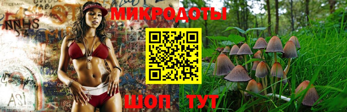 Псилоцибиновые грибы Magic Shrooms  Вход с VPN  Кызыл 