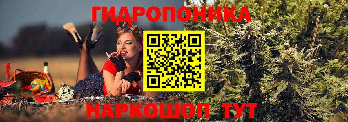 МАРИХУАНА ГИДРОПОН Кызыл